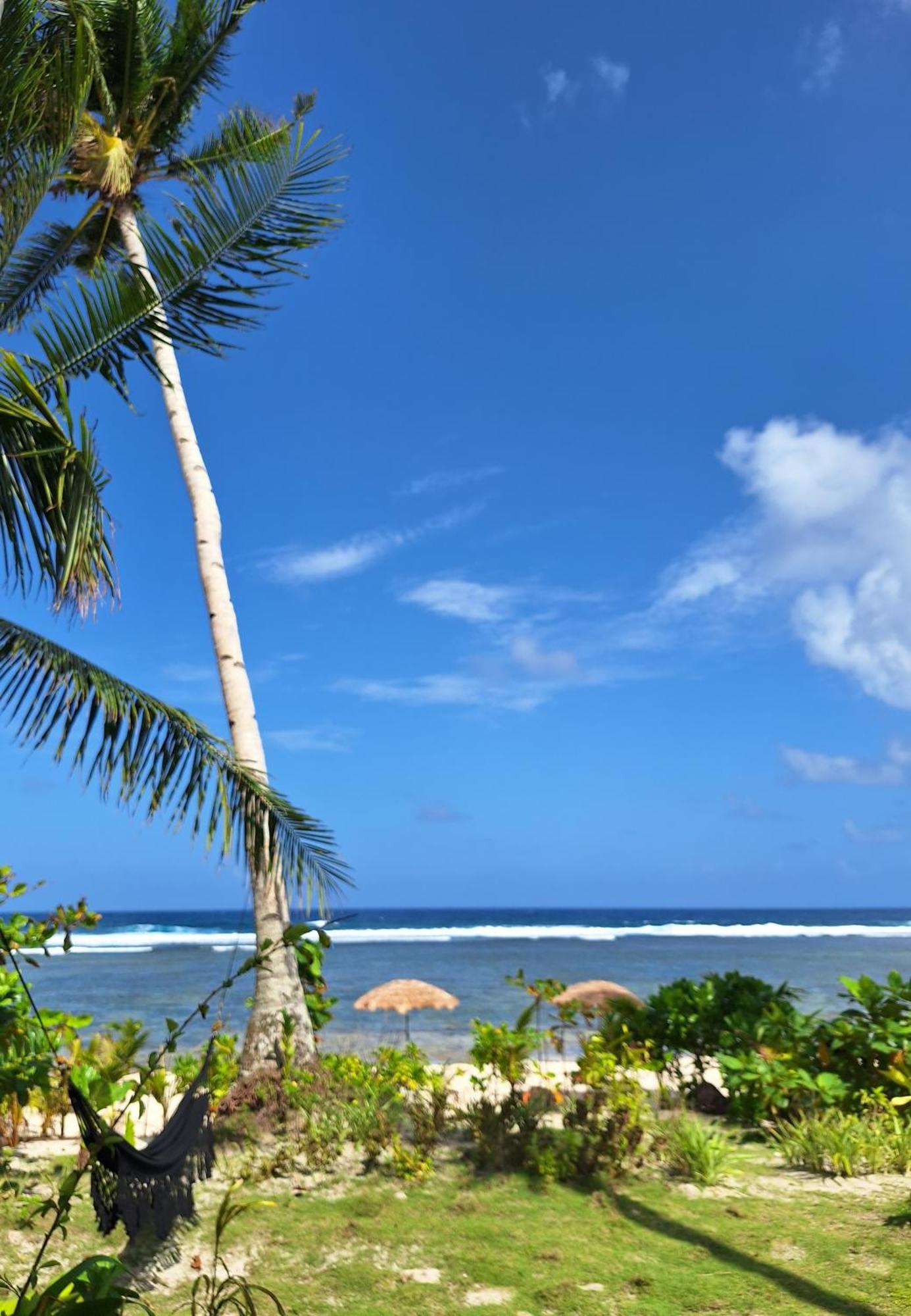 Bamboo Surf Beach San Isidro  Esterno foto