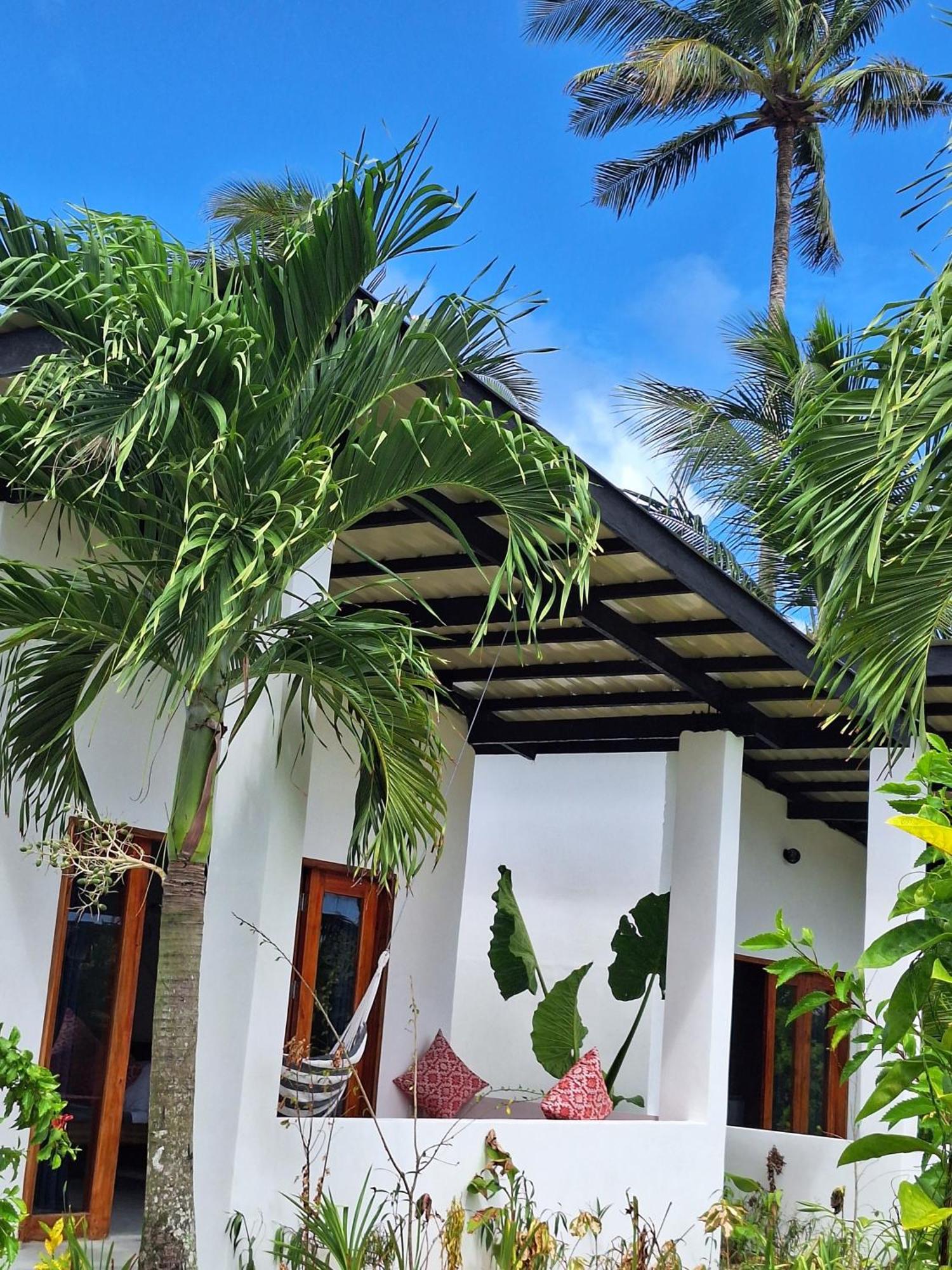 Bamboo Surf Beach San Isidro  Esterno foto